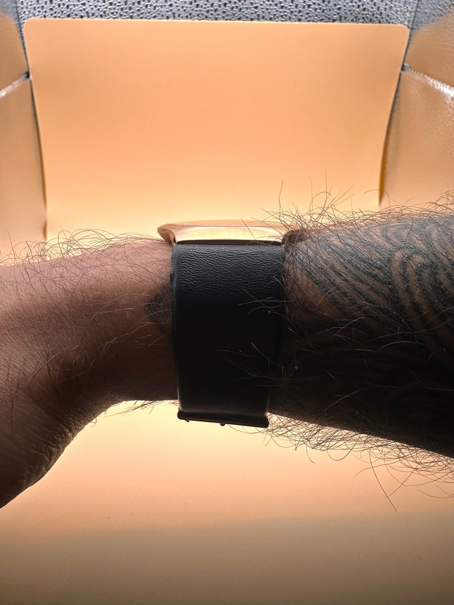 Skagen Quartz Dress Watch 2000s